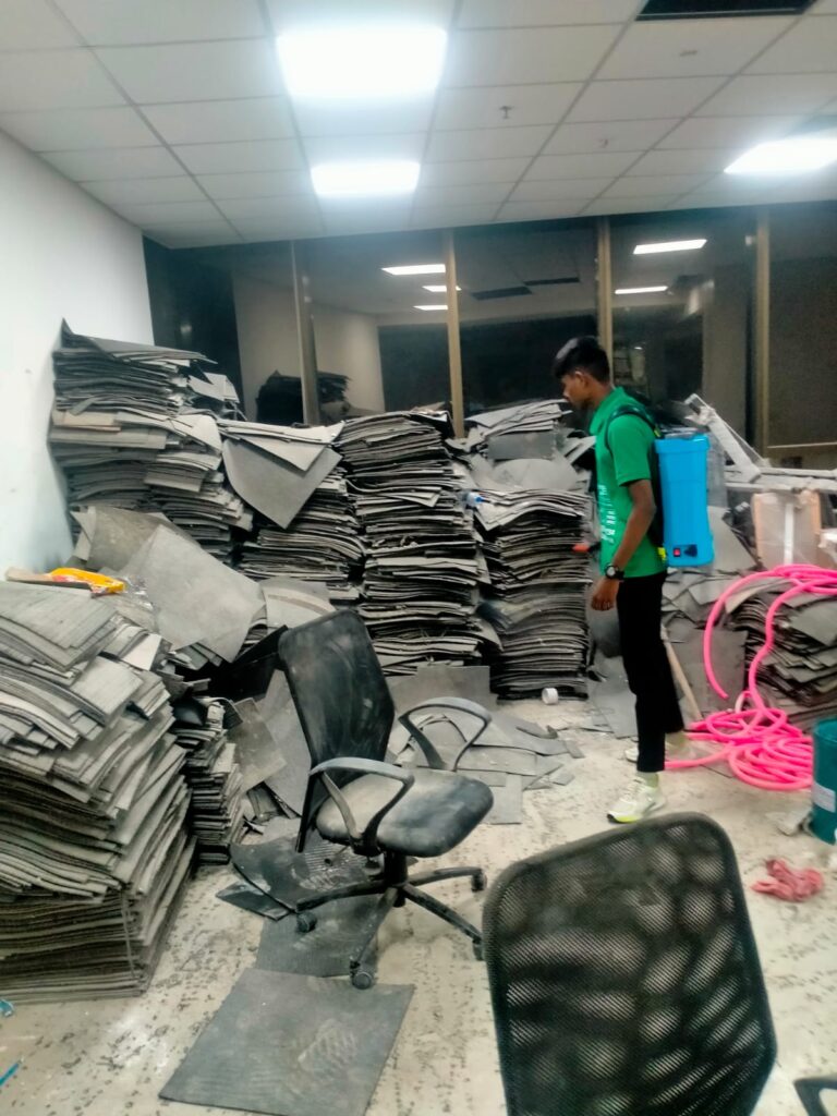 Evergreen Pest Control Services | Thane | Navi Mumbai | Kalyan