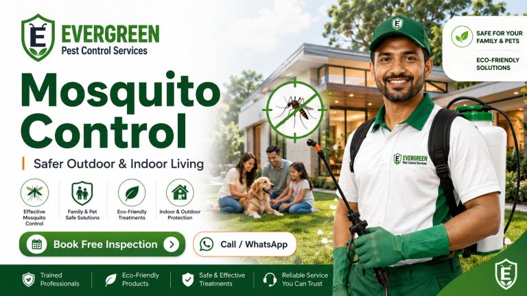 Mosquito control service in Kalyan