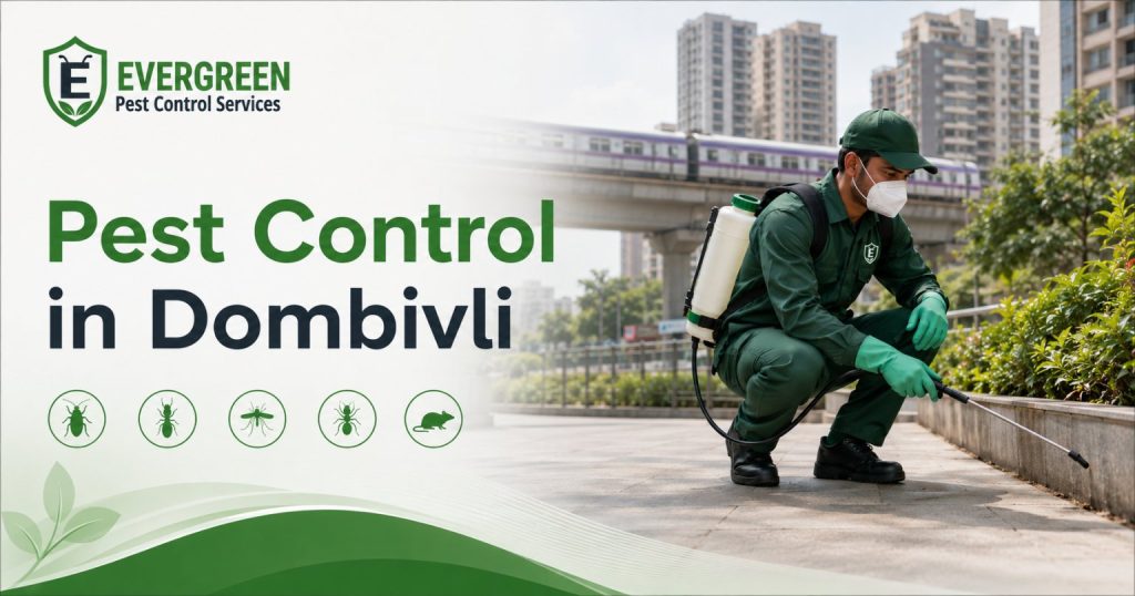 pest control in Dombivli