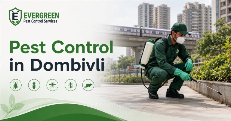 Pest control in Dombivli for flats and societies