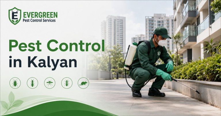 Pest control in Kalyan for homes and housing societies