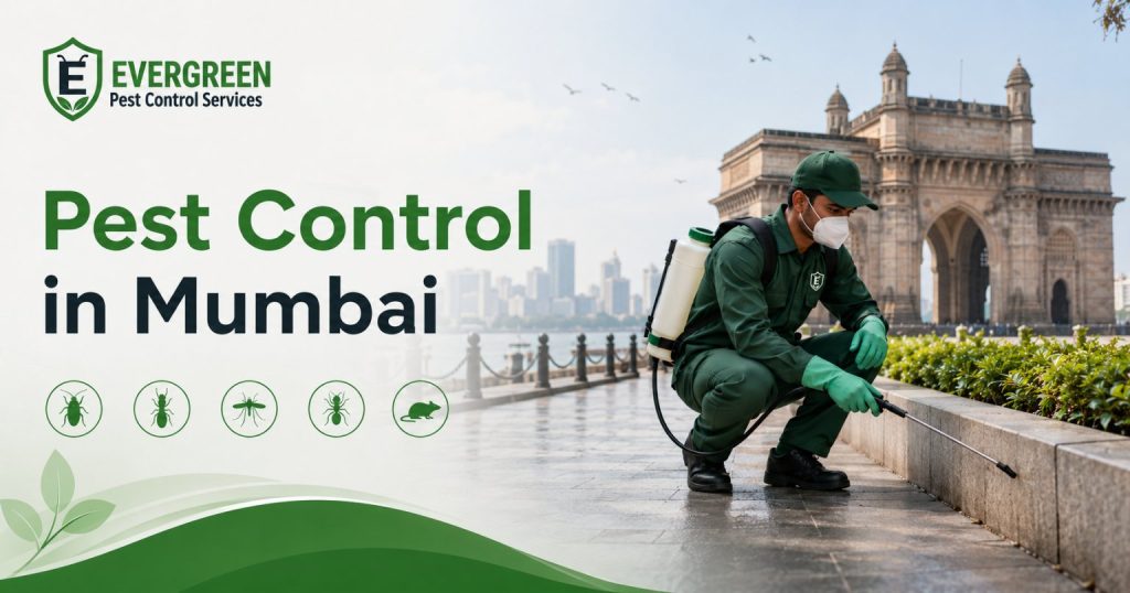 pest control in Mumbai