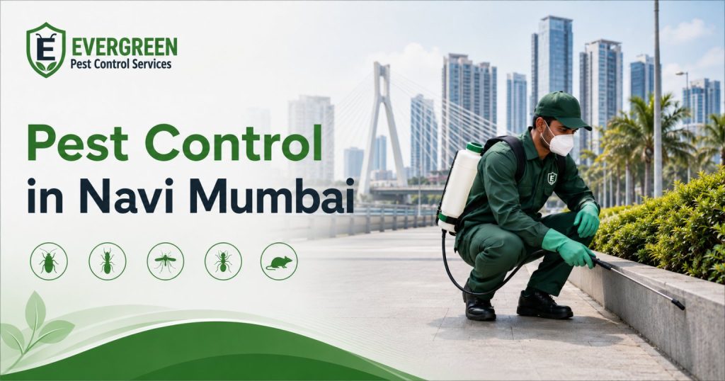 pest control in Navi Mumbai