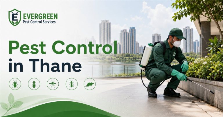 Pest control in Thane for residential and commercial properties
