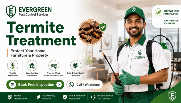 Termite treatment service in Kalyan