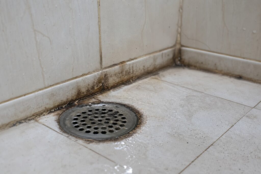 Moist bathroom drain zone that attracts pests in Kalyan flats