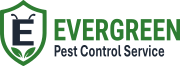 Evergreen Pest Control Service | Kalyan - Thane - Navi Mumbai
